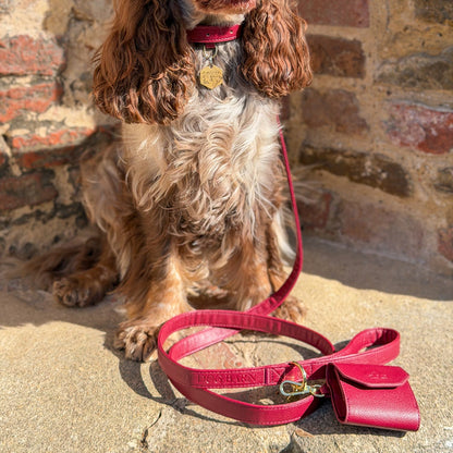 Berry Moors Heritage Leather Lead