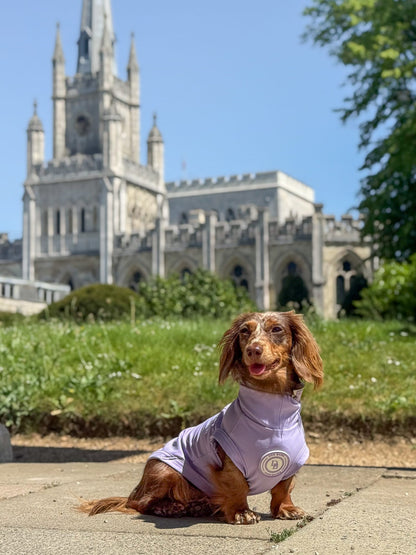 Dachshund Lavender Meadow Summer T-Shirt