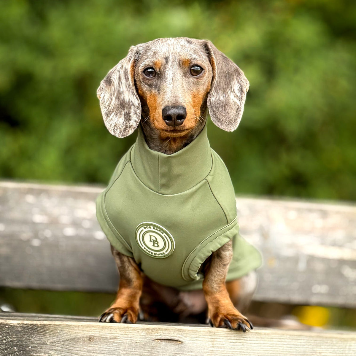 Dachshund Forest Glade Summer T-Shirt