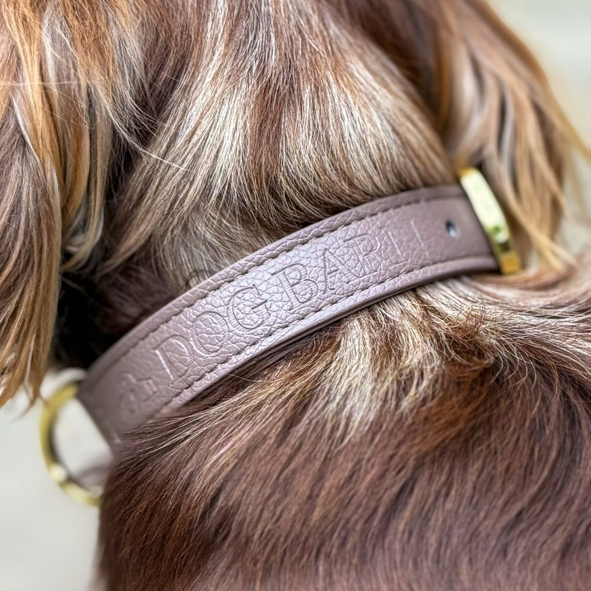 A close-up of a brown dog wearing a brown leather collar with gold-tone hardware. The collar has the brand name 'DOG BART' embossed on it.