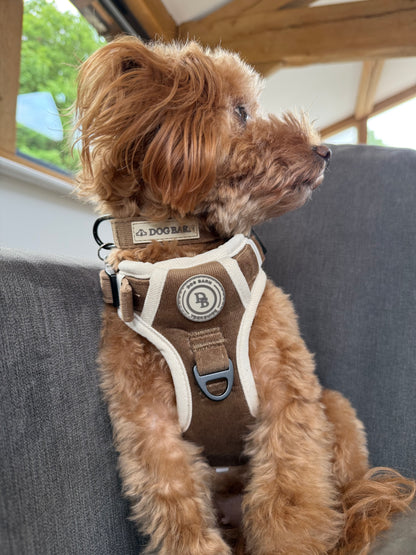 Chestnut Trail Adventurer Collar