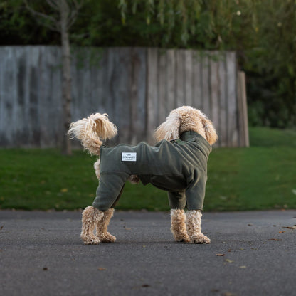 A small fluffy dog standing outdoors on a paved path wearing an olive green fitted pet sweater, with grass, a wooden fence, and trees in the background.