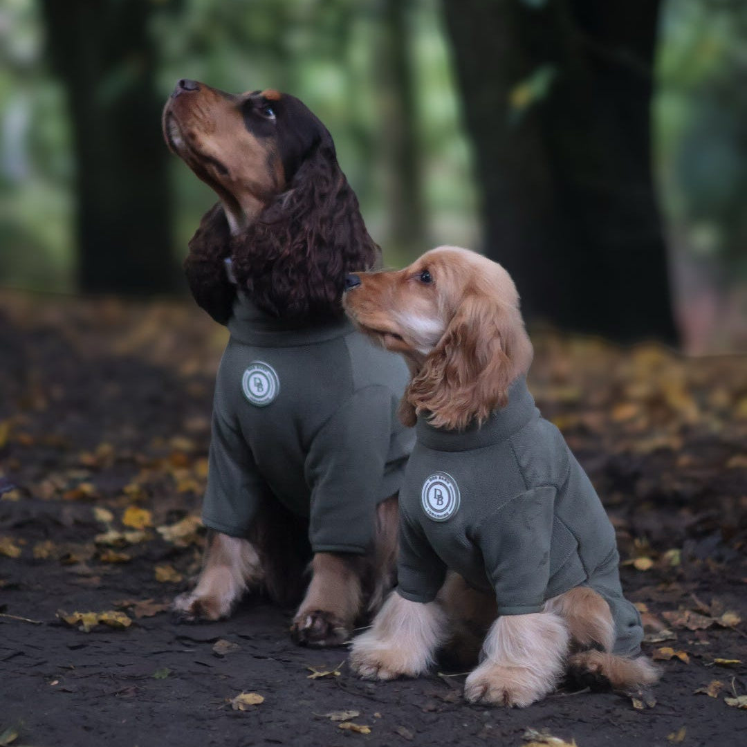 Two dogs sitting on a forest path wearing matching dark olive green dog jackets with a circular white logo on the chest.