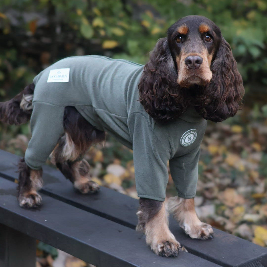 A long-eared dog standing on a dark wooden bench outdoors, wearing a fitted sage green full-body pet suit. The background shows blurred green foliage and fallen leaves.