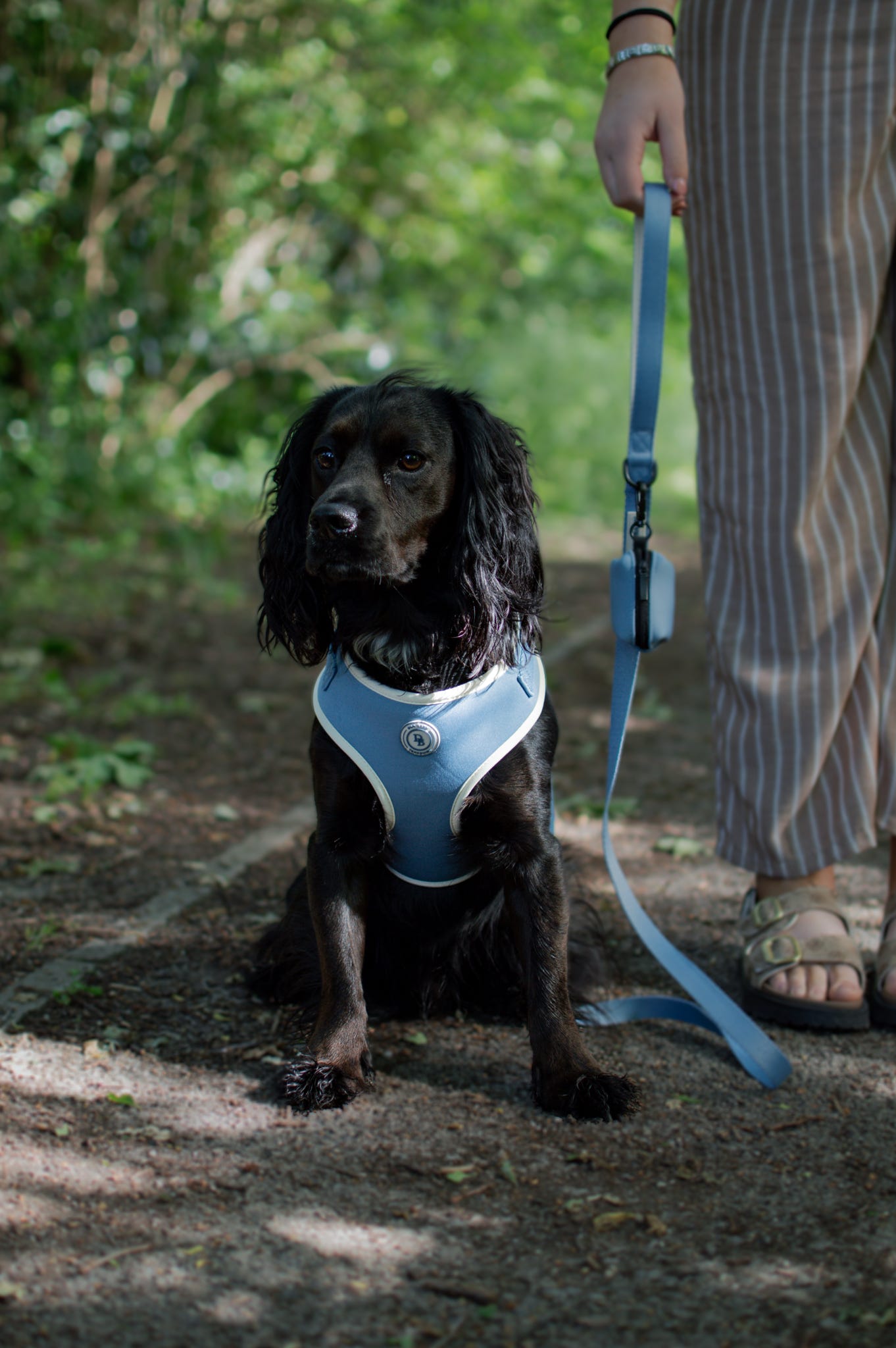Blue Sky Moor Harness