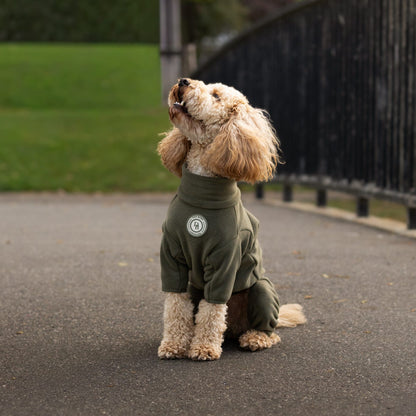 A small fluffy dog wearing an olive green pet jumpsuit sits on a paved path outdoors with grass and a fence in the background.