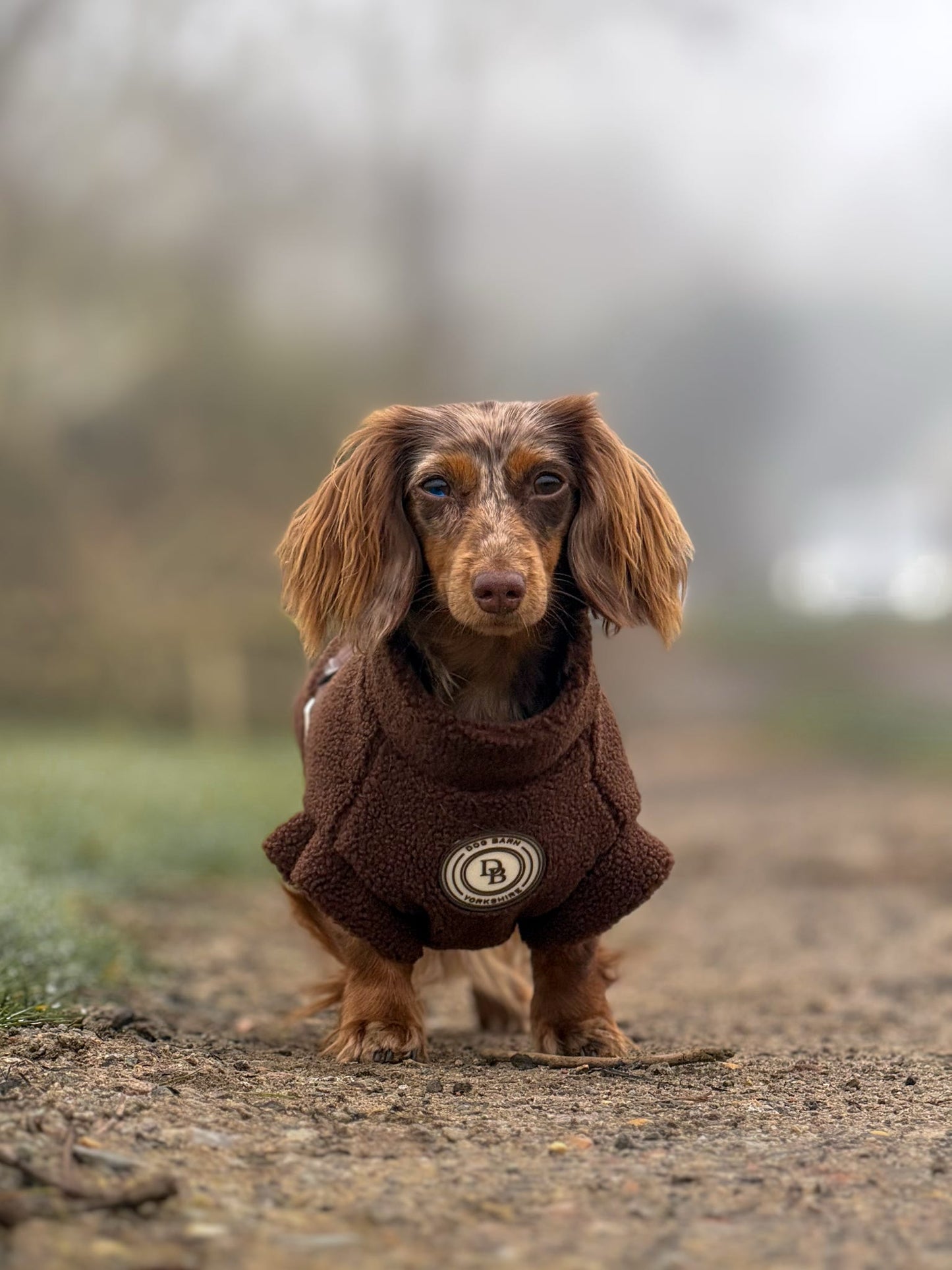 Chestnut Trail Dachshund Sherpa Fleece
