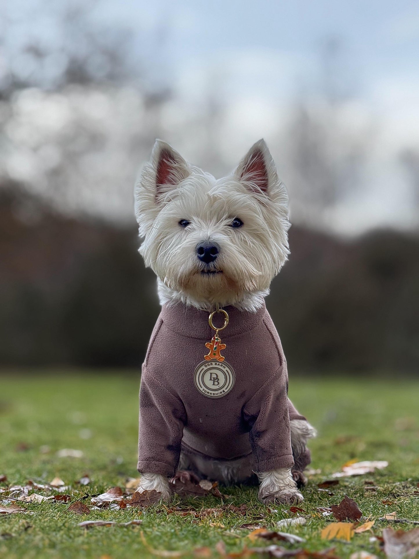 Chestnut Trail Fleece Suit