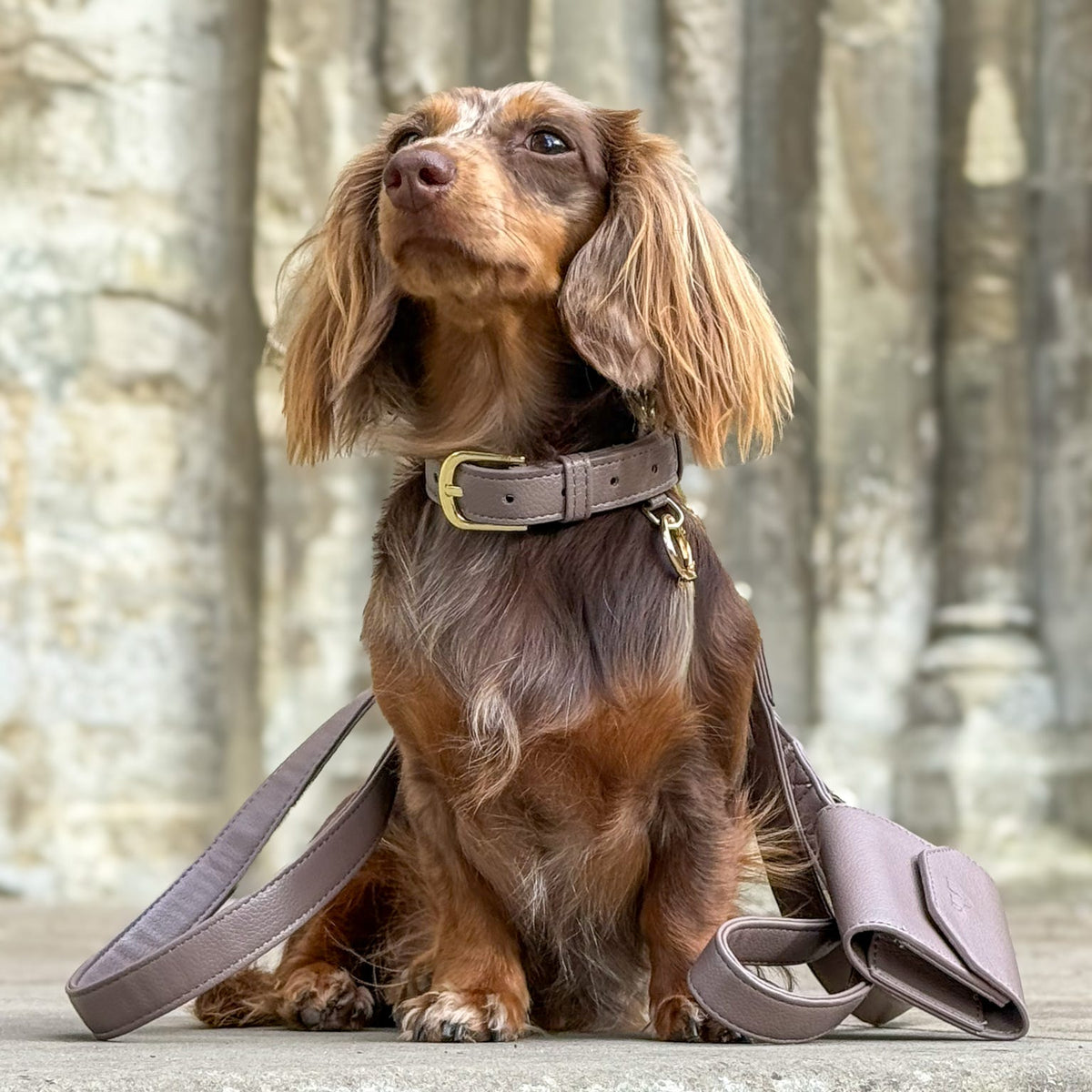 Chestnut Trail Heritage Leather Collar