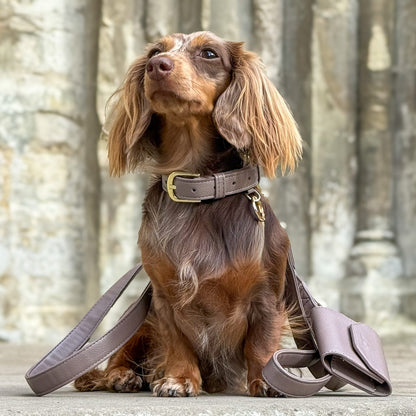 Chestnut Trail Heritage Leather Collar