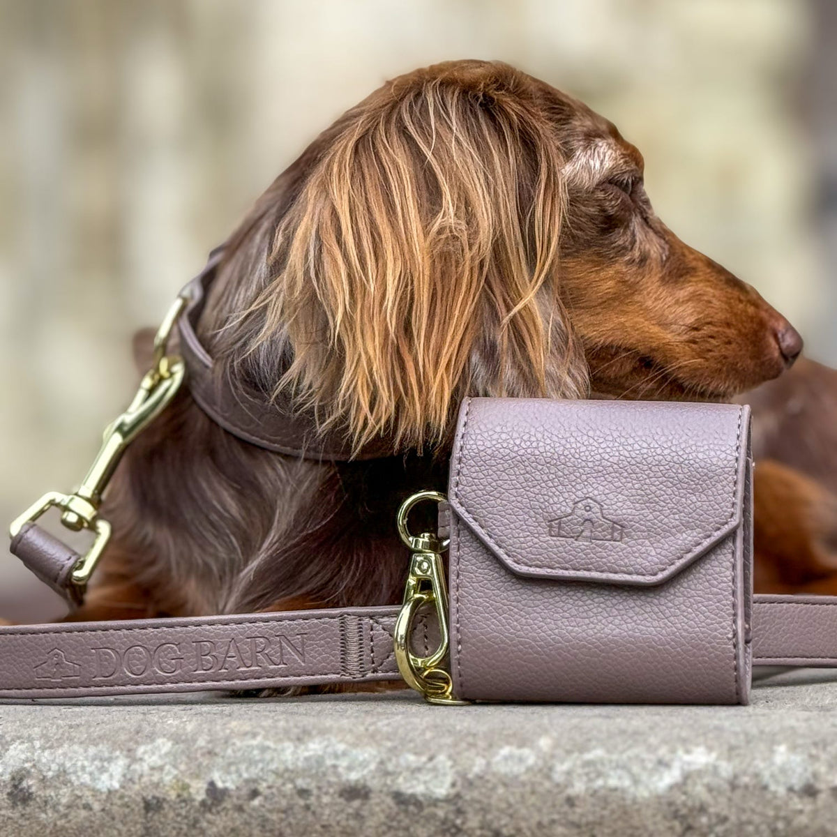 A brown long-haired dog wearing a matching dog collar with a small mauve leather crossbody bag and strap from Dog Barn, resting on a stone ledge with a blurred outdoor background.