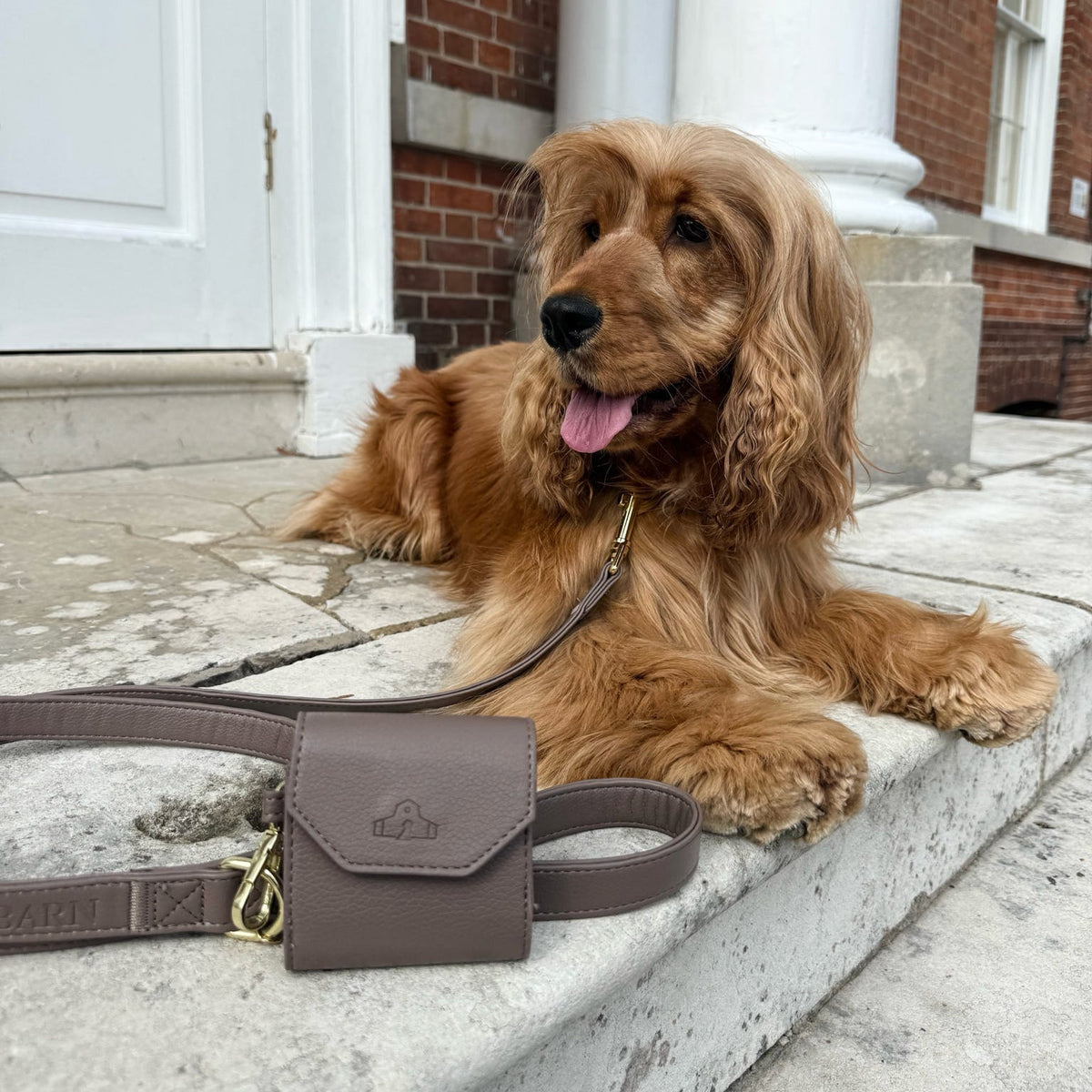 Chestnut Trail Heritage Leather Poo Bag Holder