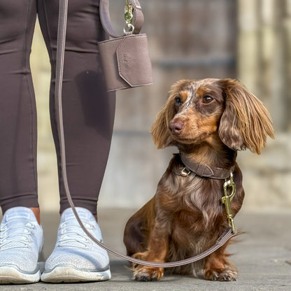 A brown dachshund sits on a stone surface wearing a black collar with a gold-tone clasp, attached to a tan leather leash held by a person in dark leggings and white sneakers. The person also carries a small tan leather crossbody bag.