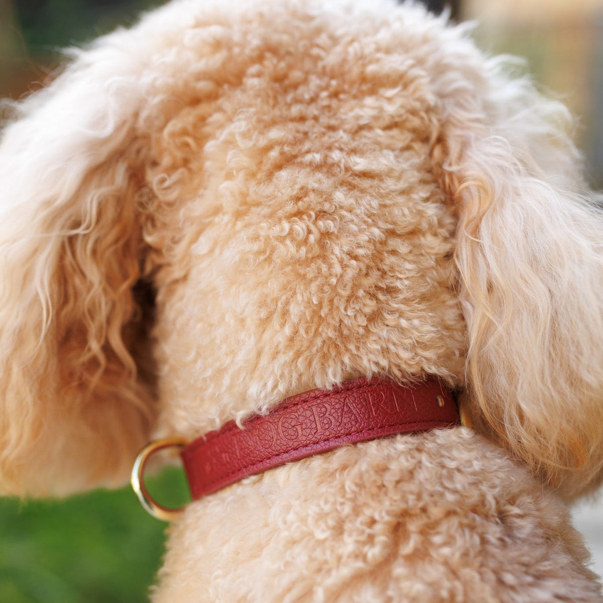 Berry Moors Heritage Leather Collar