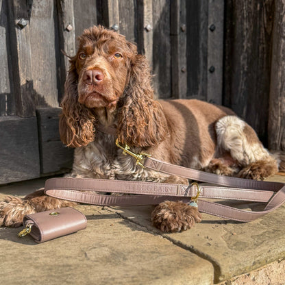 Chestnut Trail Heritage Leather Lead