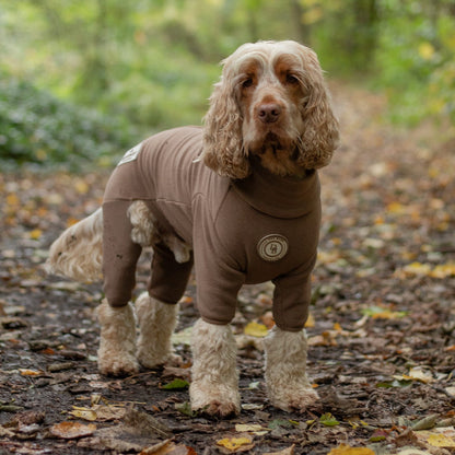 A small brown dog standing on a leaf-covered forest path, wearing a fitted brown dog sweater with leg covers and a circular logo on the chest.