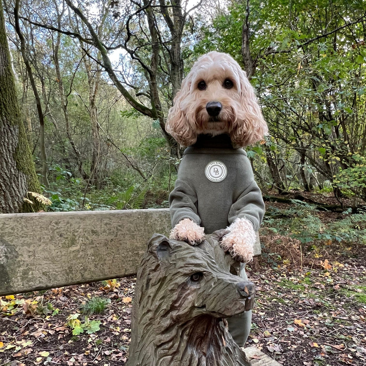 A small fluffy dog wearing a dark gray sweatshirt with a circular white logo, posed on top of a stone dog statue in a wooded outdoor setting.