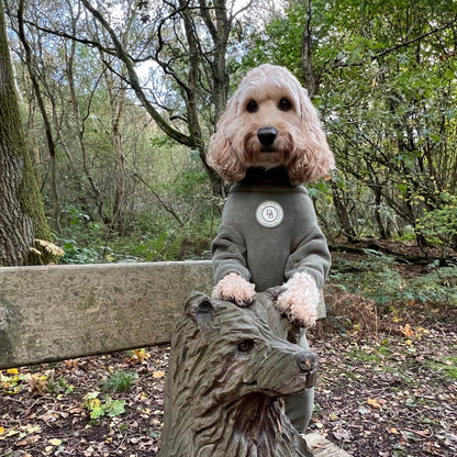 A small fluffy dog wearing a dark gray sweatshirt with a circular white logo, posed on top of a stone dog statue in a wooded outdoor setting.