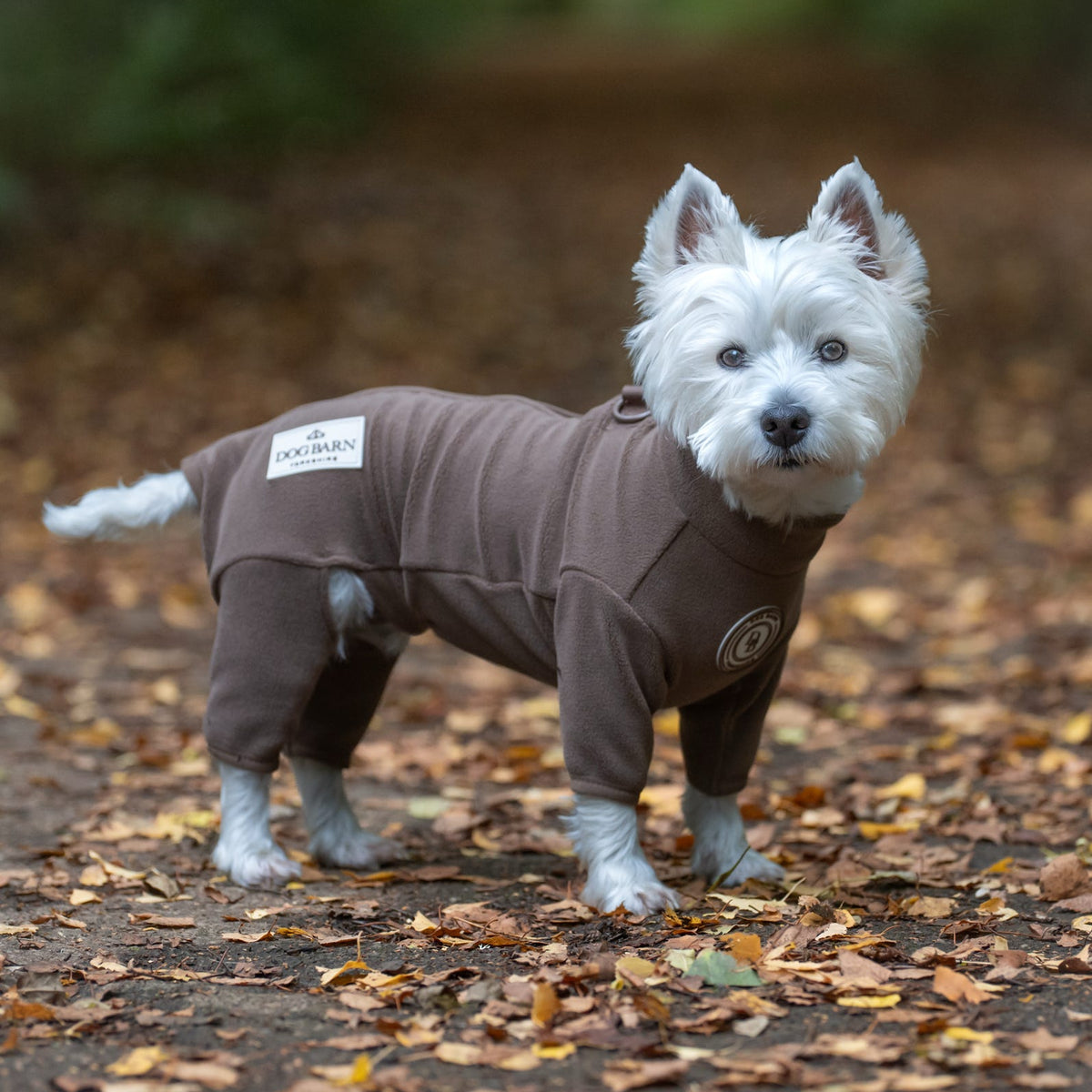 Chestnut Trail 4-Legged Fleece Suit (Zip Up)