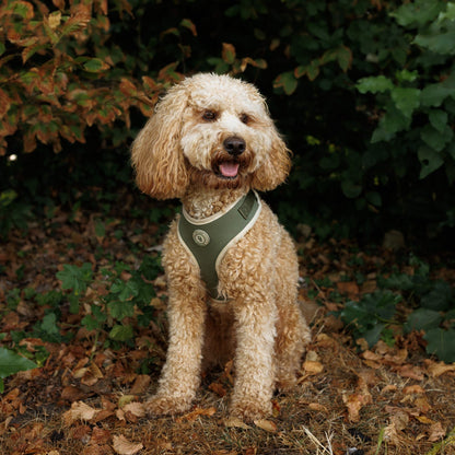 Forrest Glade Harness