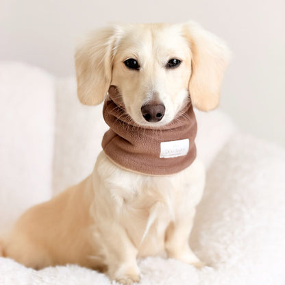 A cream-colored dachshund sitting on a white textured blanket, wearing a brown fabric dog neck warmer with a small white brand label.