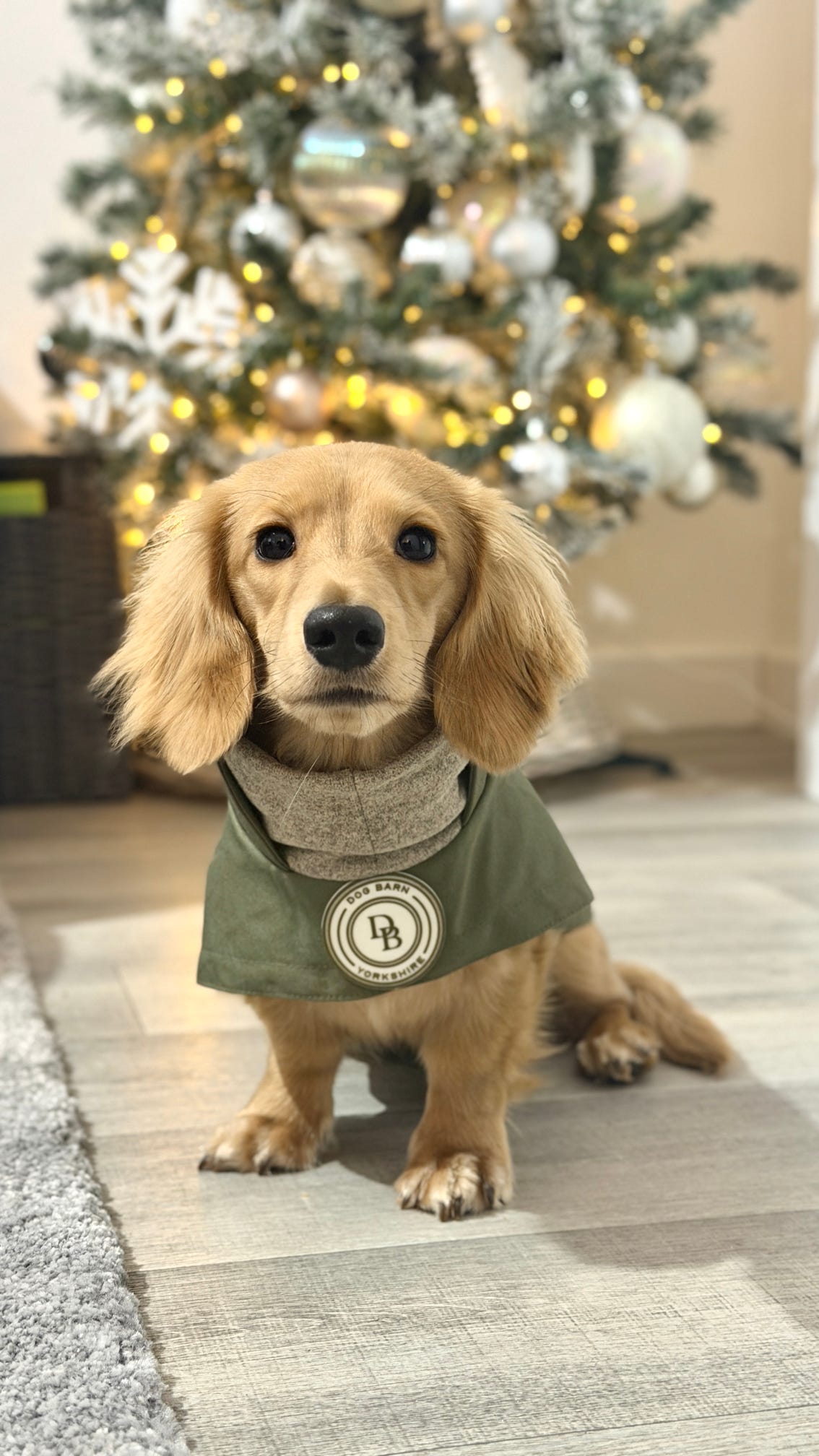 Dachshund Forest Glade Winter Rain Jacket (Fleece Lined)