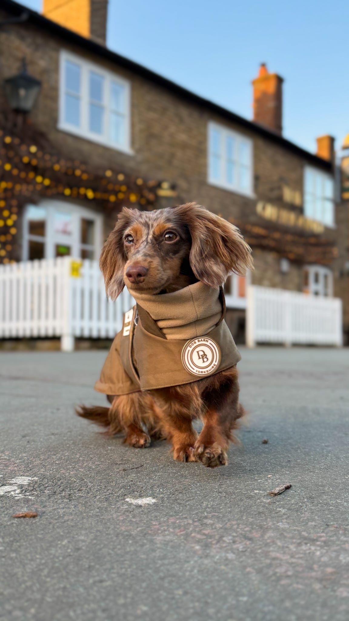 Dachshund Chestnut Trail Winter Rain Jacket (Fleece Lined)