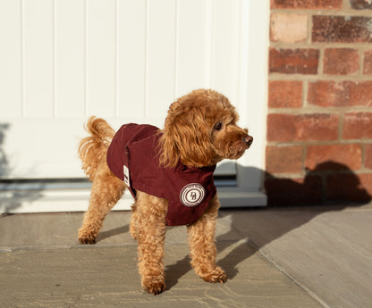 Berry Moors Rain Jacket