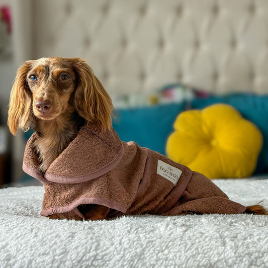 A dachshund lying on a white textured blanket in front of a tufted headboard, wearing a brown plush pet robe with a hood. A small brand tag is visible on the sleeve.