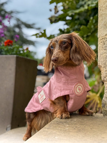 Dachshund Blush Petal Rain Jacket