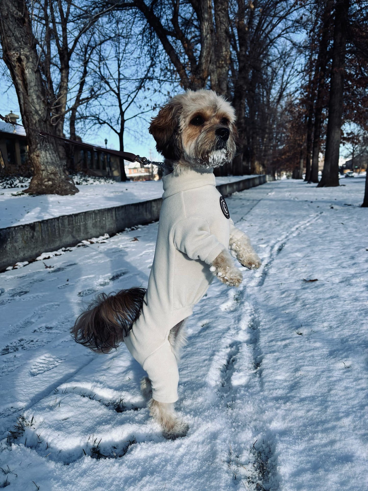 Ivory Dune Fleece Suit