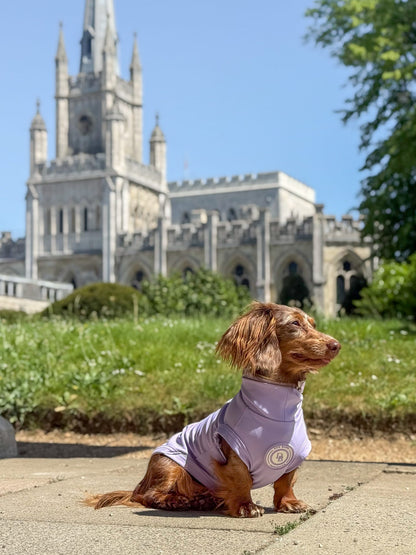 Dachshund Lavender Meadow Summer T-Shirt