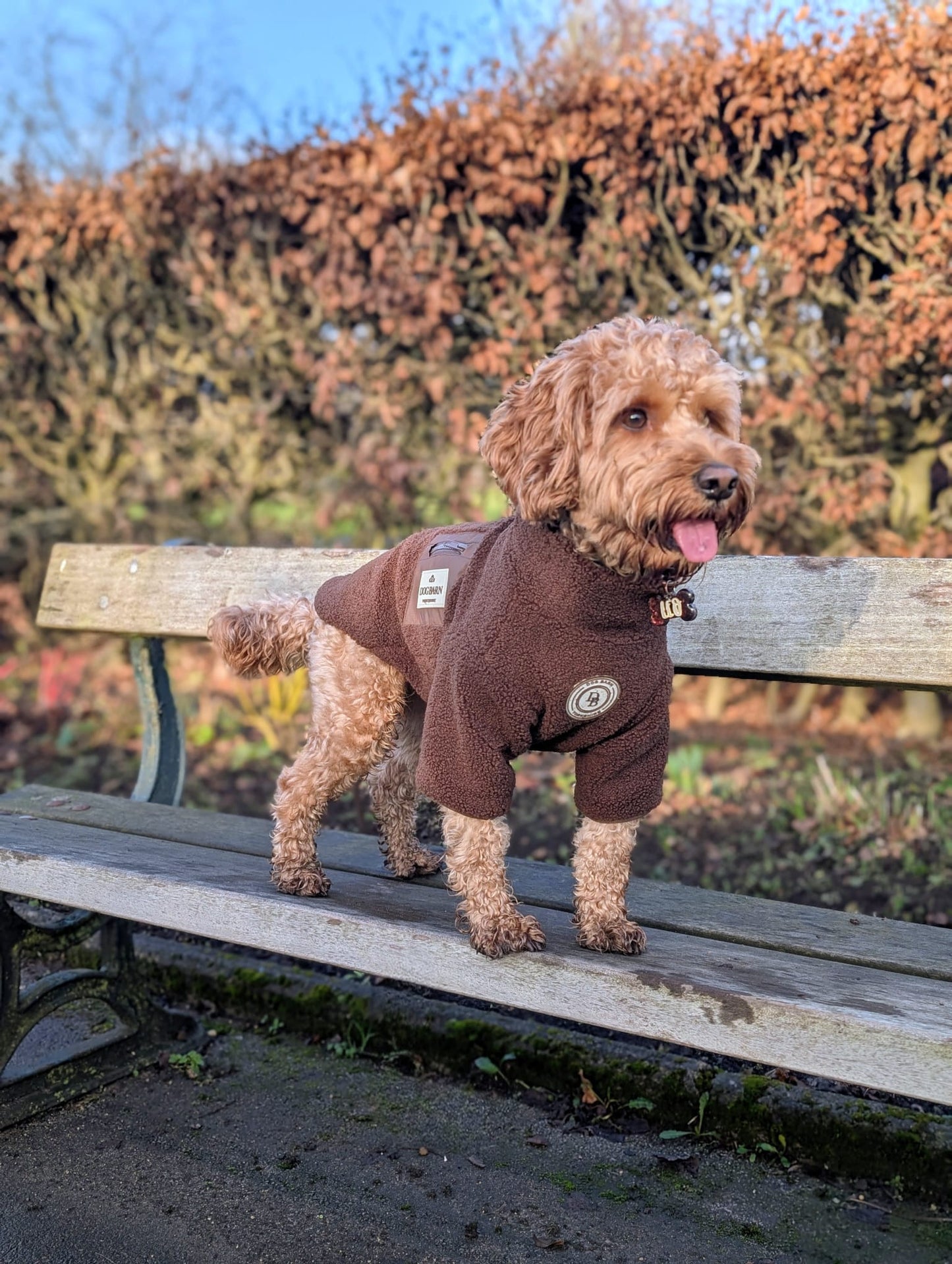 Chestnut Trail Sherpa Jacket