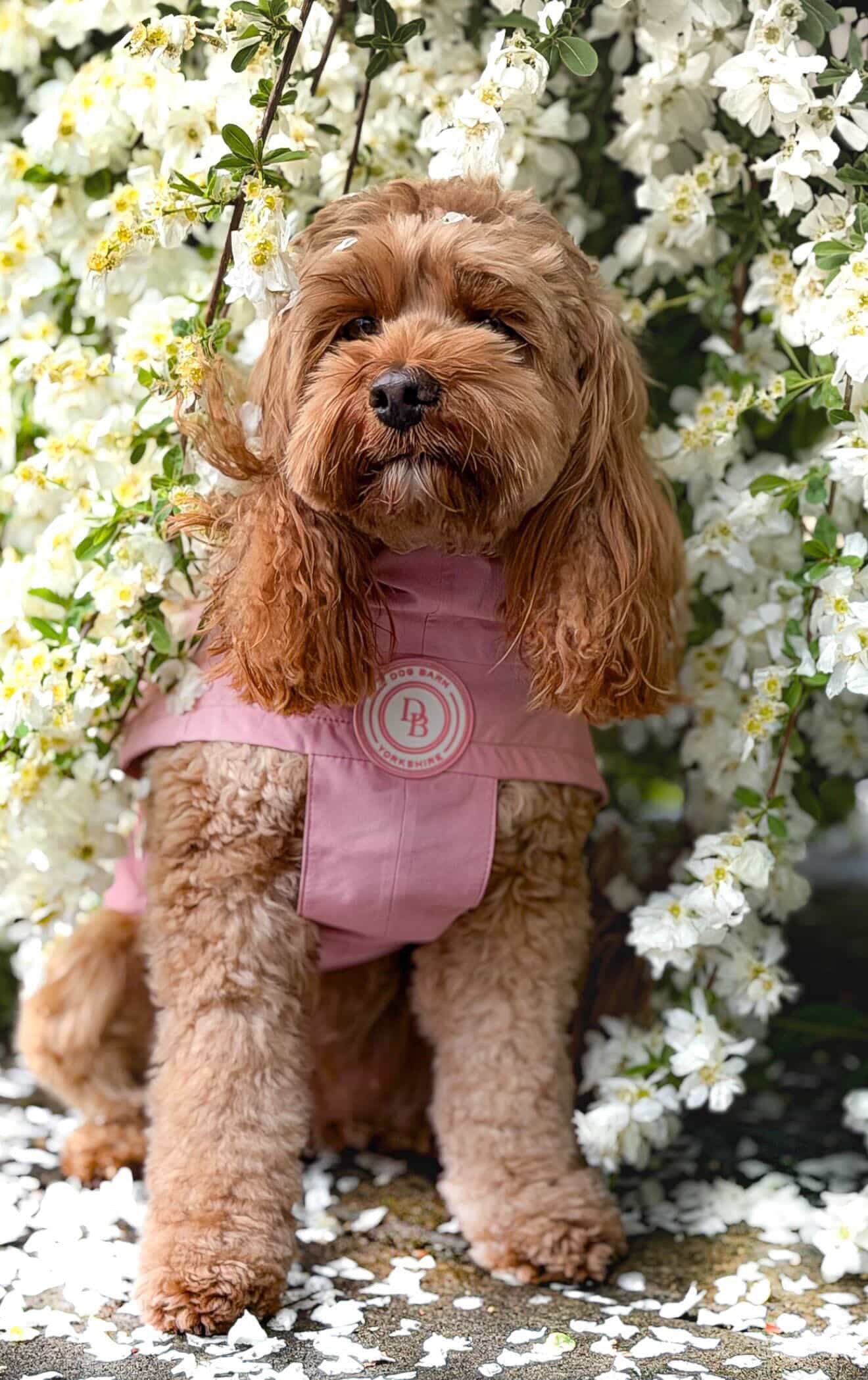 Blush Petal Rain Jacket