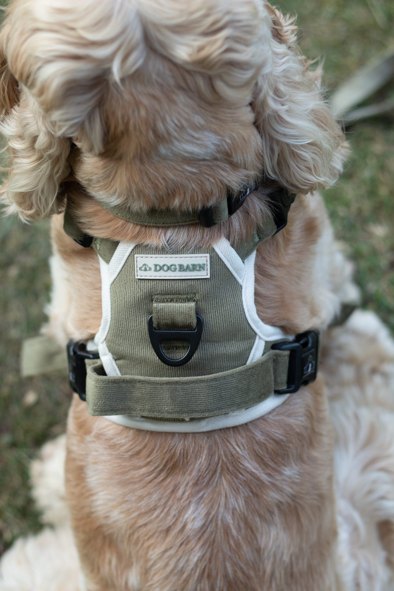 Forest Glade Adventurer Harness (Corded Material)