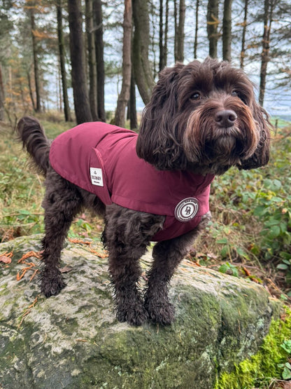 Berry Moors Rain Jacket