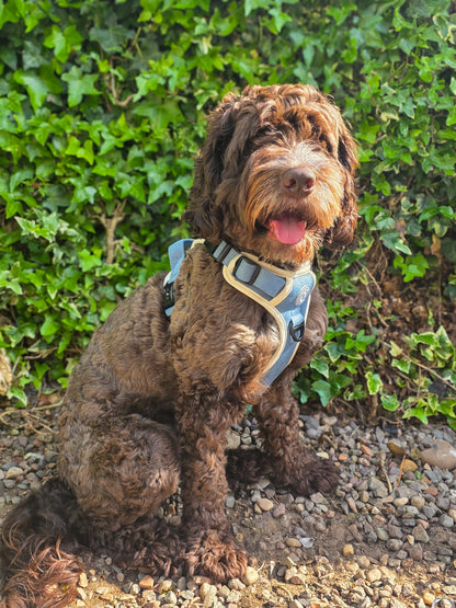 Blue Sky Moor Adventurer Harness (Corded Material)