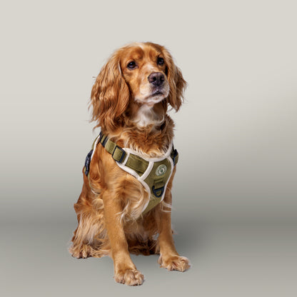 Forest Glade Adventurer Harness