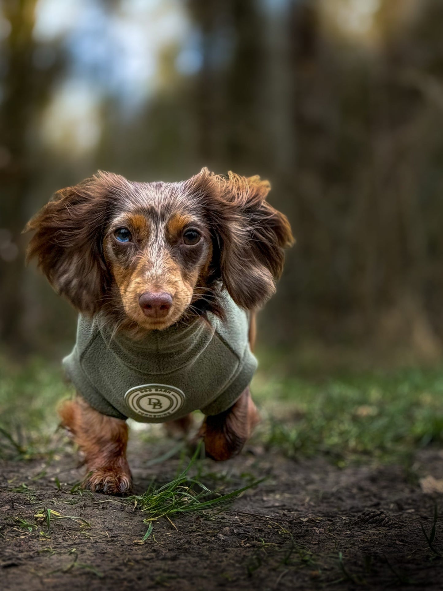 Forest Glade Dachshund Fleece