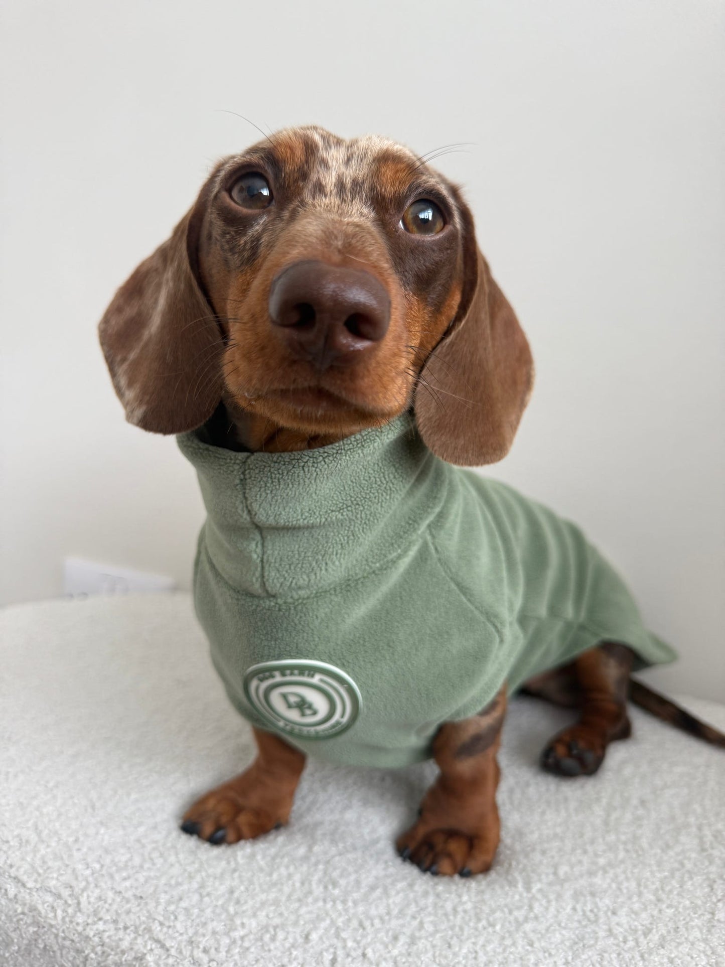 Forest Glade Dachshund Fleece