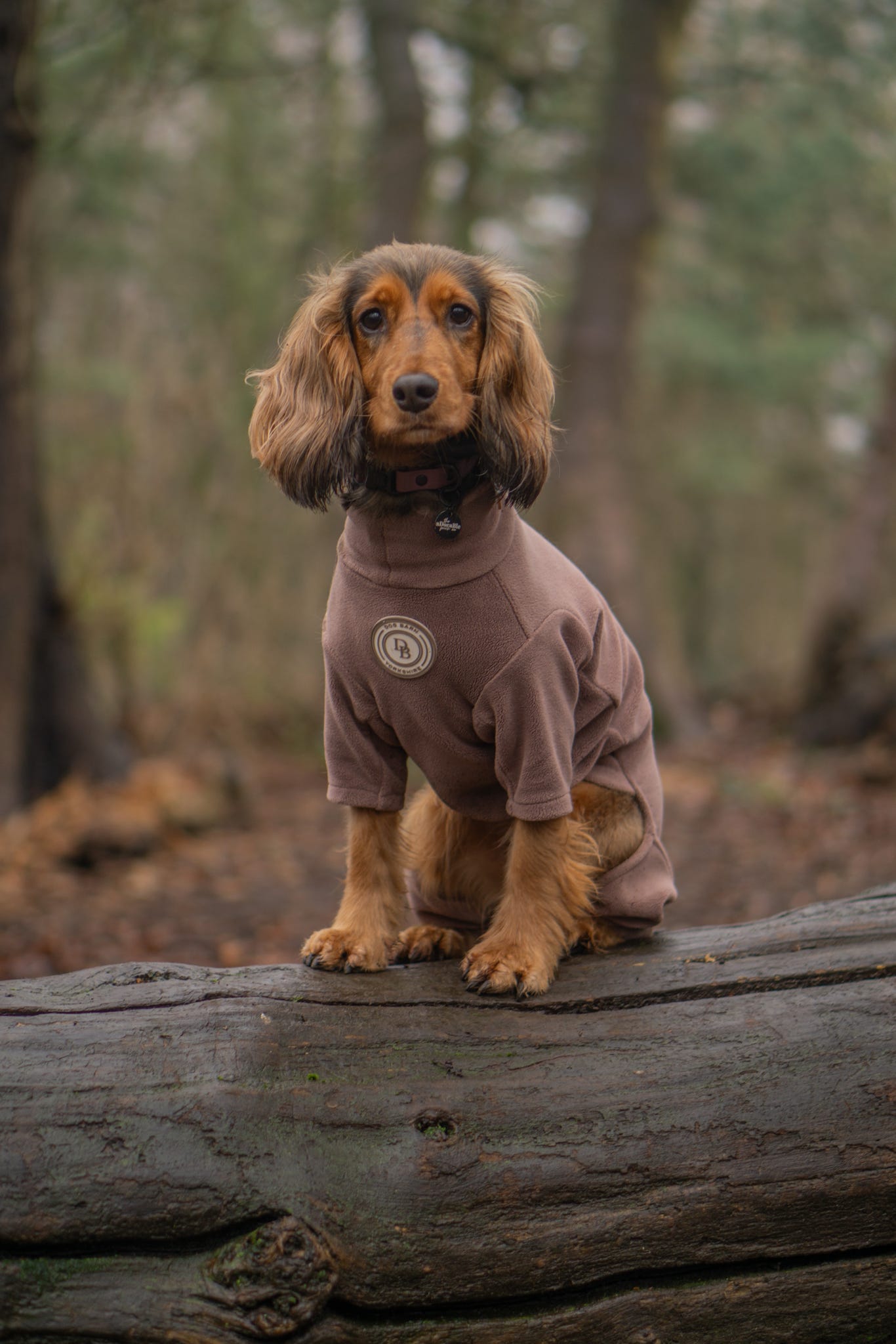 Chestnut Trail Fleece Suit