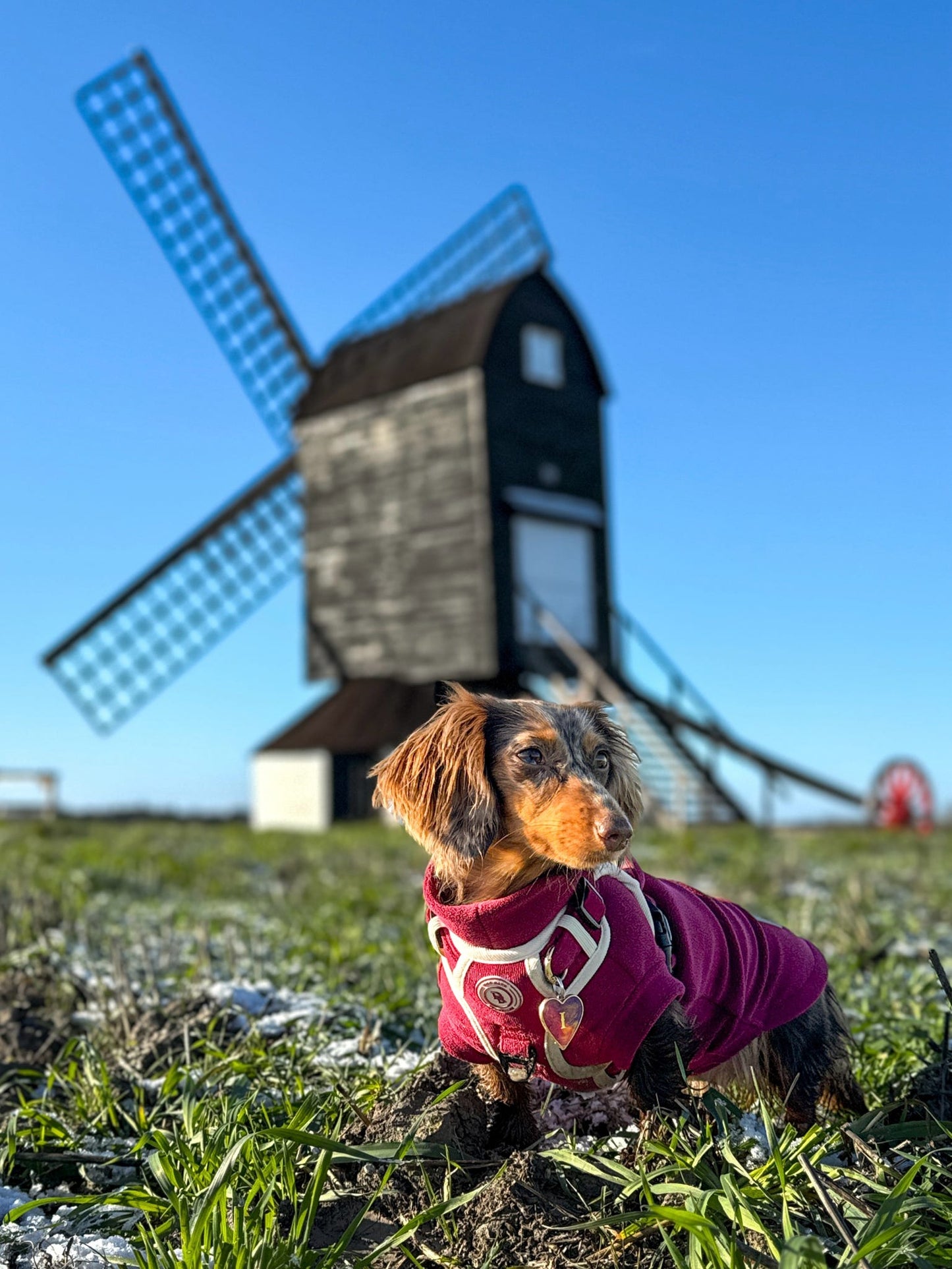 Berry Moors Adventurer Harness (Corded Material)