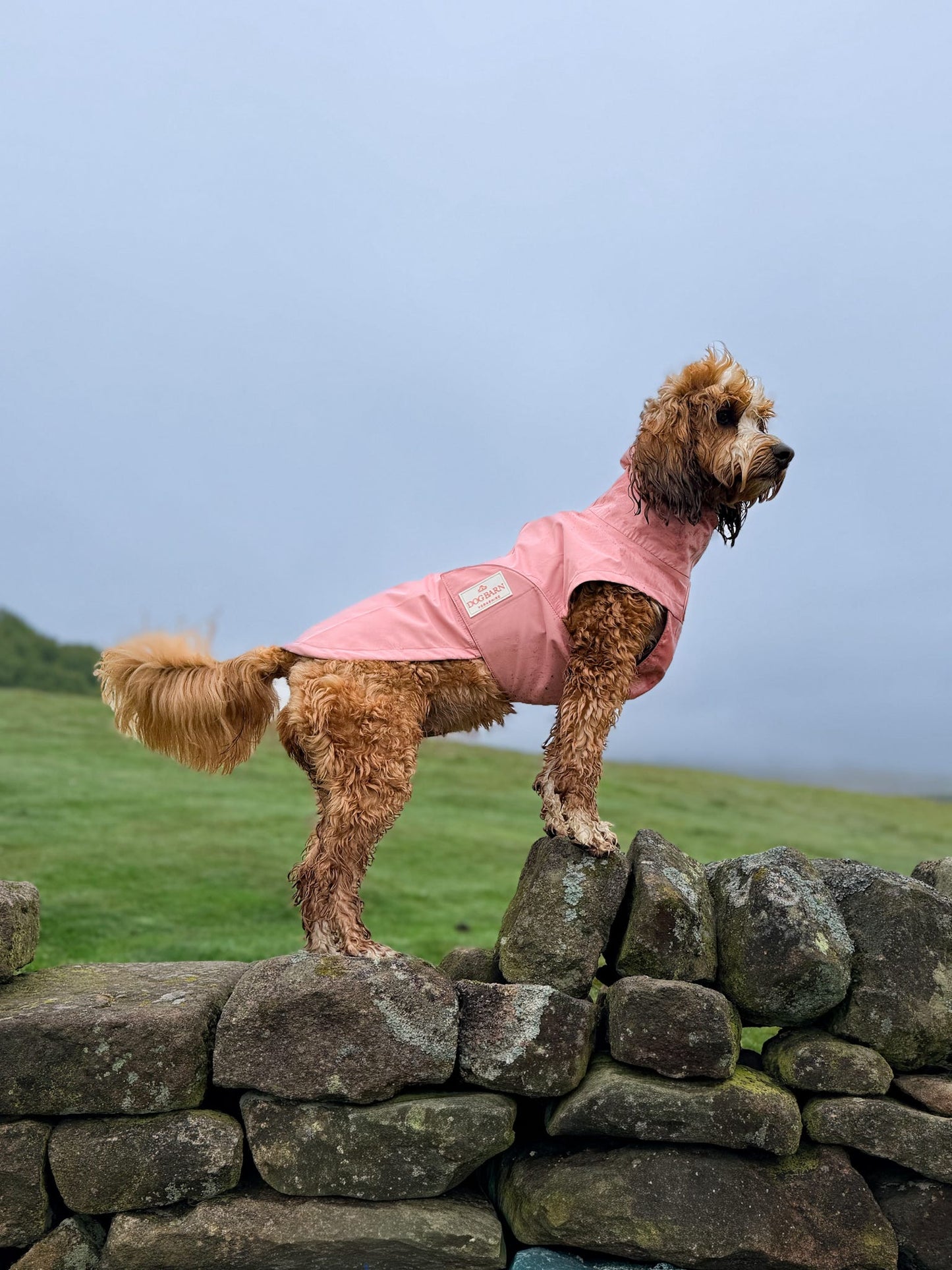 Blush Petal Rain Jacket