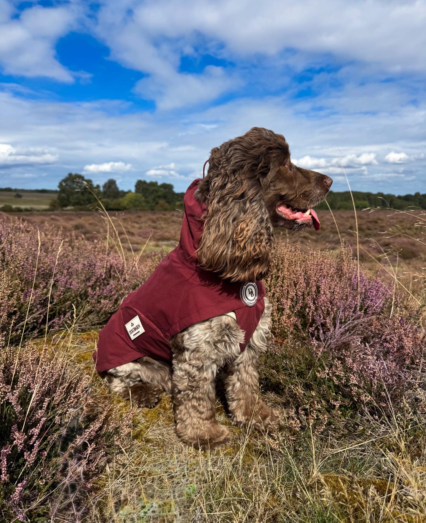 Berry Moors Rain Jacket