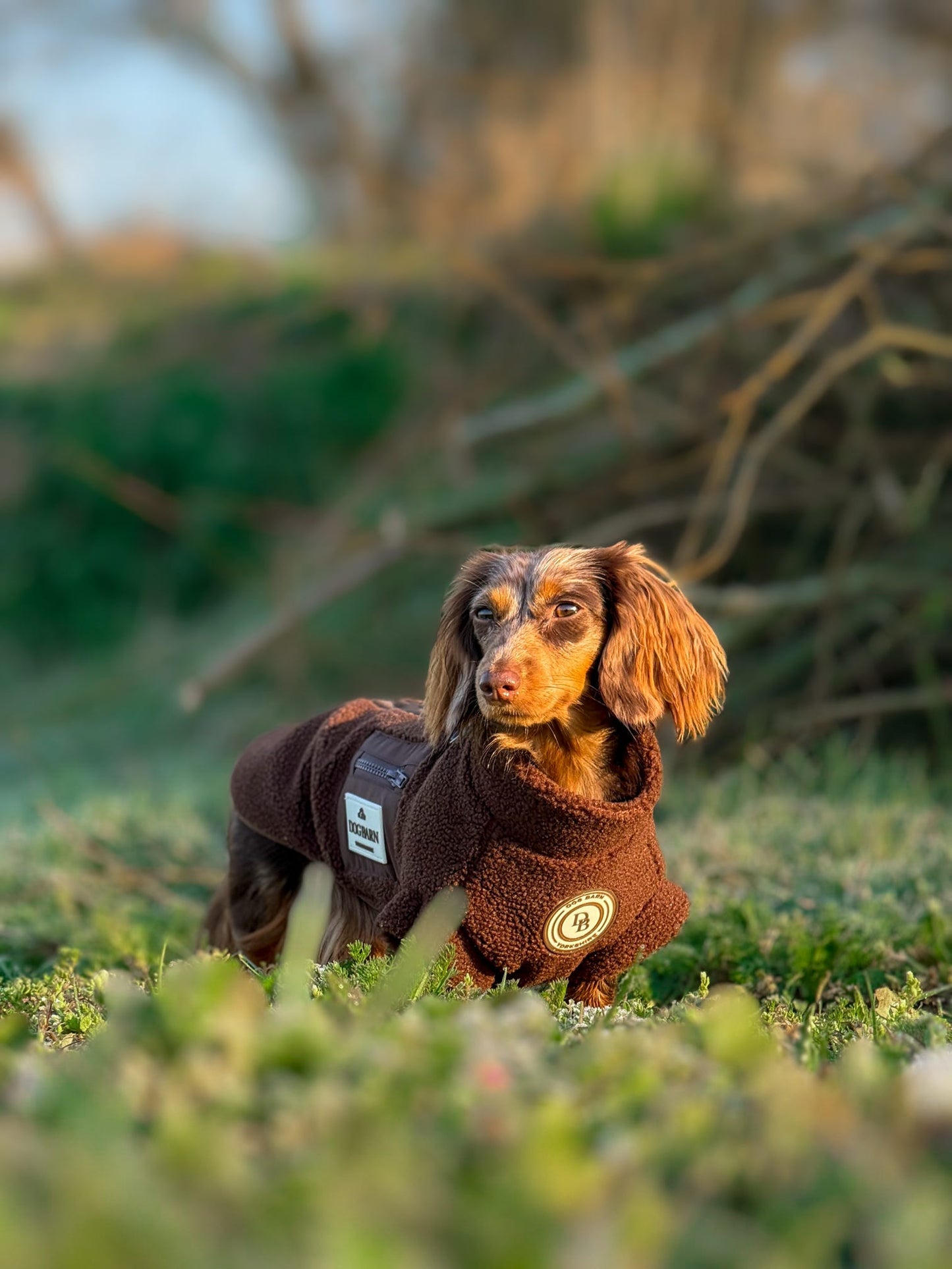 Chestnut Trail Dachshund Sherpa Fleece