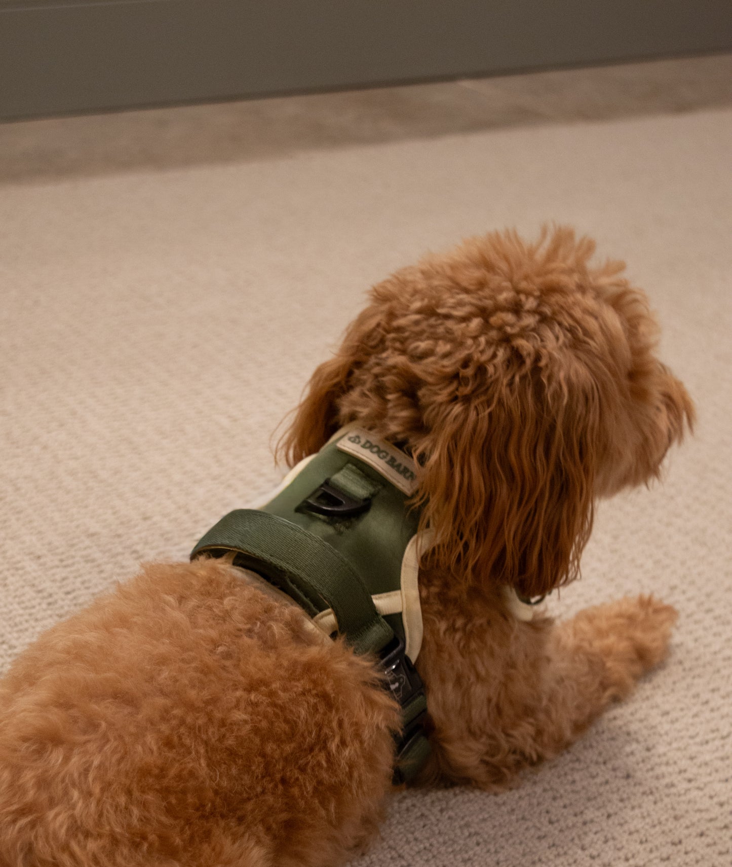 Forest Glade Adventurer Harness