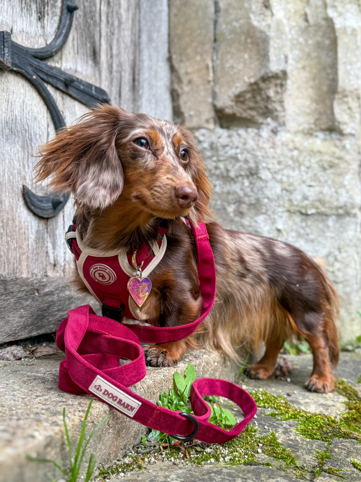 Berry Moors Adventurer Lead (Corded Material)