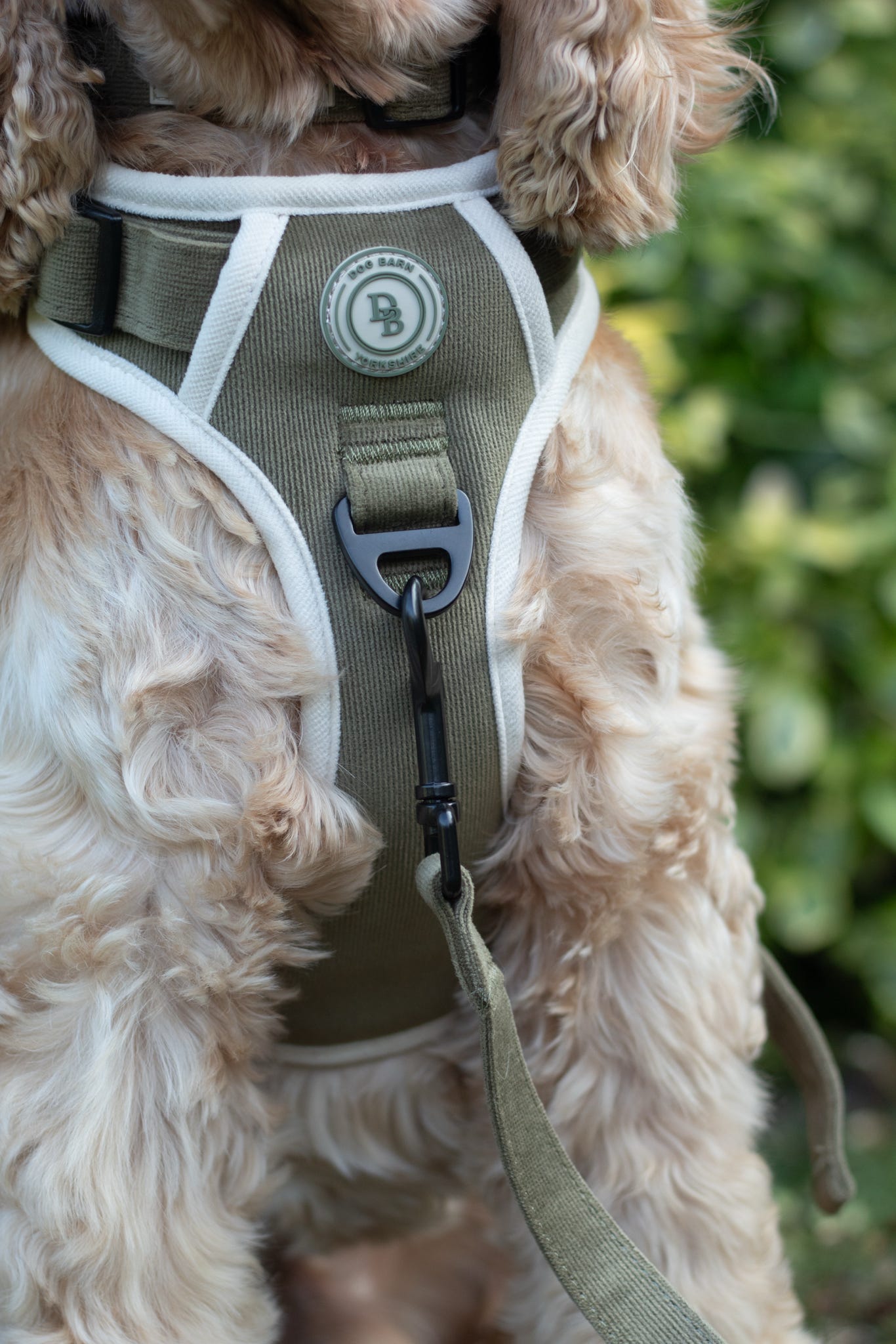 Forest Glade Adventurer Harness (Corded Material)