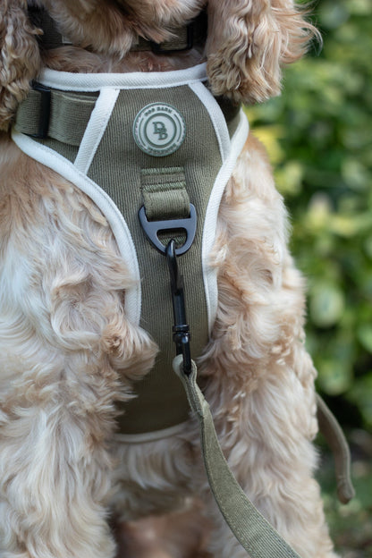 Forest Glade Adventurer Harness (Corded Material)