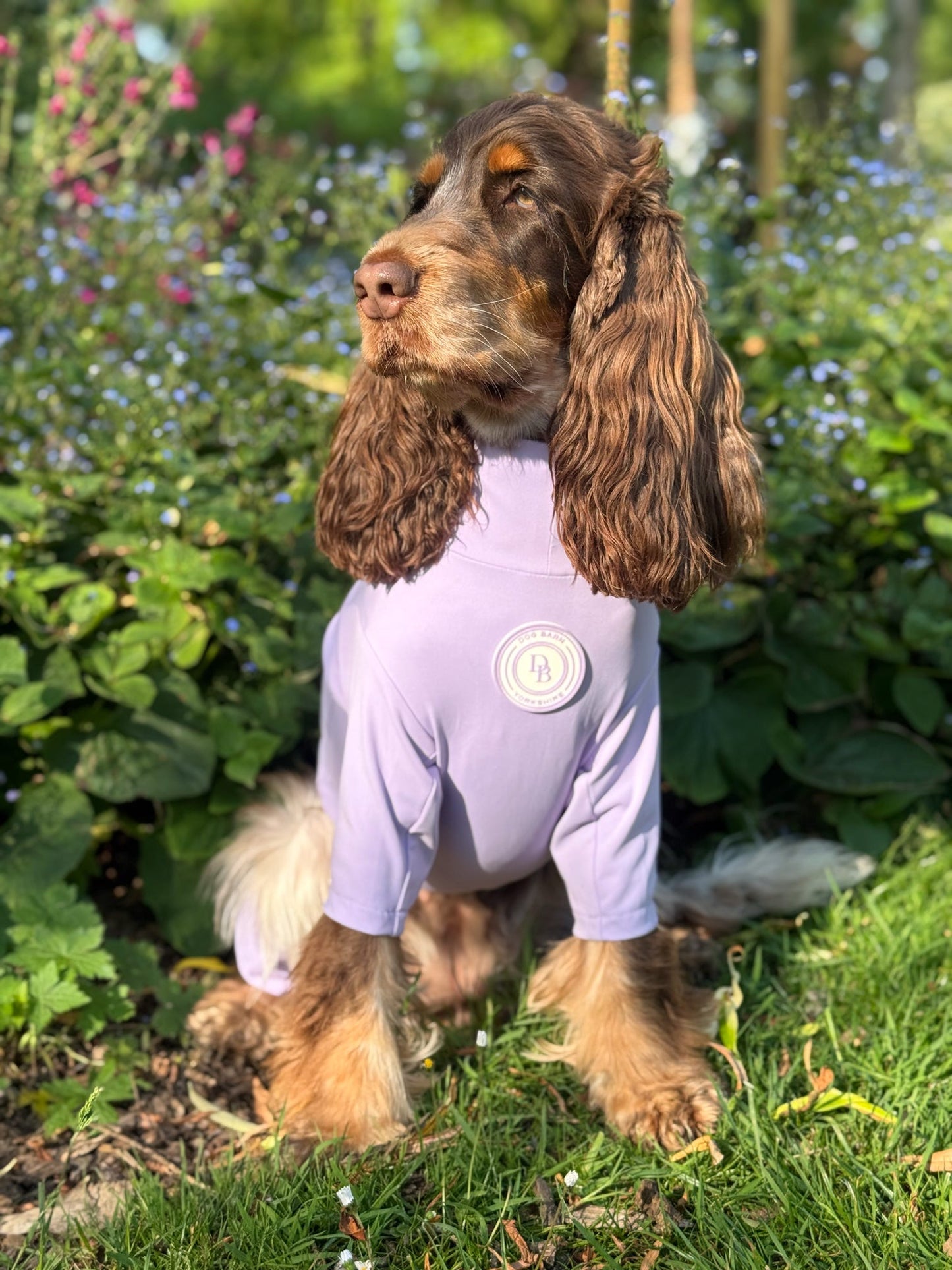 Lavender Meadow Summer Suit